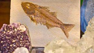 La nueva edición de 'Natura' nos ilustra sobre 'El Arte y la Ciencia de los Cristales'