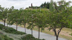 Parque Forestal de Valdebernardo.
