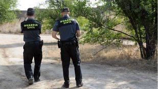 Retirados diez perros en la finca de El Molar donde un niño fue mordido