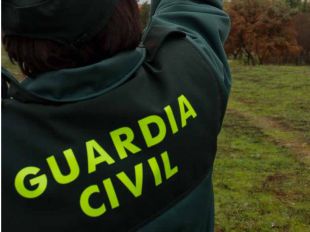 Los perros de la finca de El Molar no estaban registrados