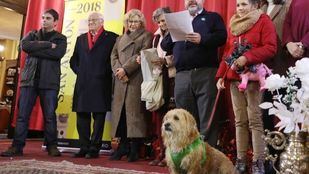 Un desfile de perros que promueve la adopción