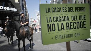 Registro de ADN de mascotas para 'cazar' a quien no recoja sus excrementos