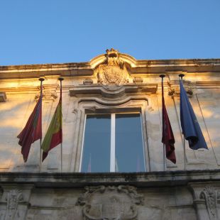 La portavoz del PP en San Fernando renuncia al acta de concejal