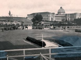 El regalo de bodas a los reyes que disfrutó la alta sociedad