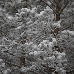Alerta por frío hasta el viernes: mínimas de -7 en la sierra