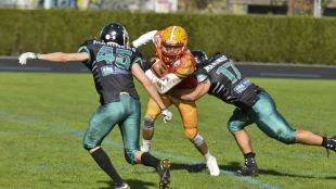 Poderío de los equipos madrileños en la quinta jornada