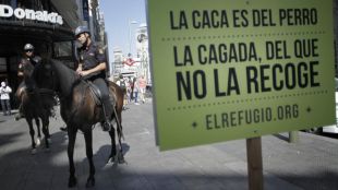 Madrid preguntará por el registro de ADN canino