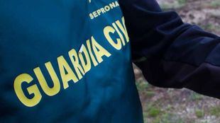 Detenido por pegar a un perro e intentar enterrarlo vivo