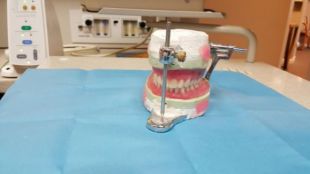 ¿Cómo olvidarte de la dentadura postiza?