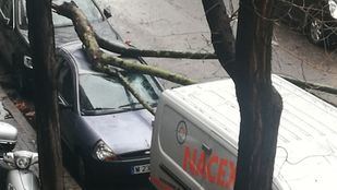 Caos en la región por el vendaval