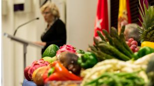 Sobrepeso y obesidad infantil: el PSOE critica "el buenismo" de Ahora Madrid