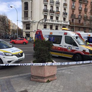 Muere un niño tras caerle un árbol encima en El Retiro