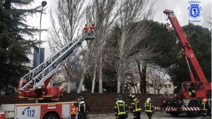 Casi 700 incidencias por el fuerte viento