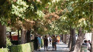 Amigos del Retiro piden el cierre del parque hasta garantizar la seguridad