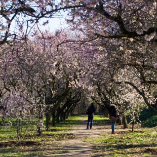Reabre el parque de la Quinta de los Molinos