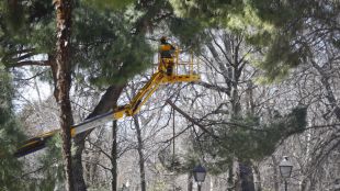 El Retiro seguirá cerrado hasta el viernes