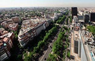 Un nuevo arbolado para la Castellana: comienza el saneamiento