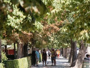 Reabre El Retiro tras catorce días cerrado