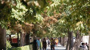 Parque del Retiro