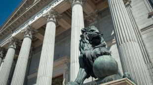 La oposición cuestiona la propuesta de vigilar la veracidad de los títulos