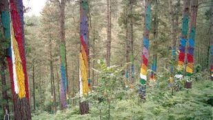 Expertos en cambio climático piden ayuda a los artistas para sensibilizar