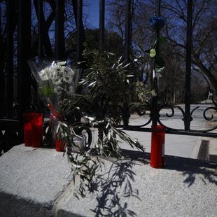 Carmena desoye al PP y mantiene el Pleno sobre El Retiro