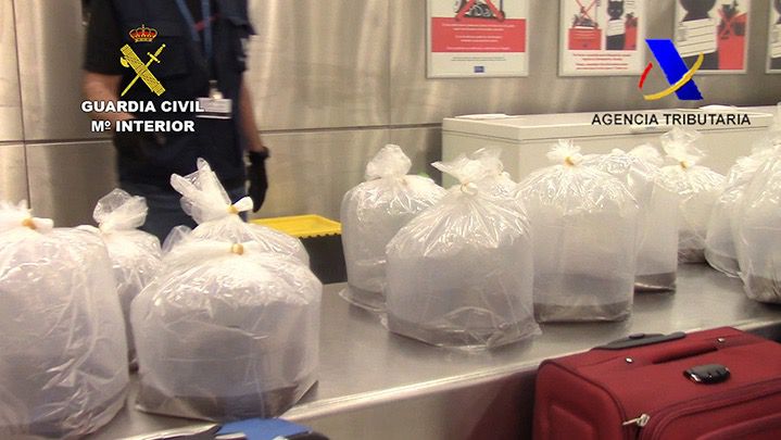 Angulas intervenidas en el aeropuerto antes de ser exportadas a Asia