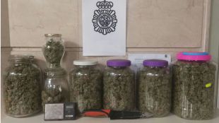 Desmantelada una plantación de marihuana