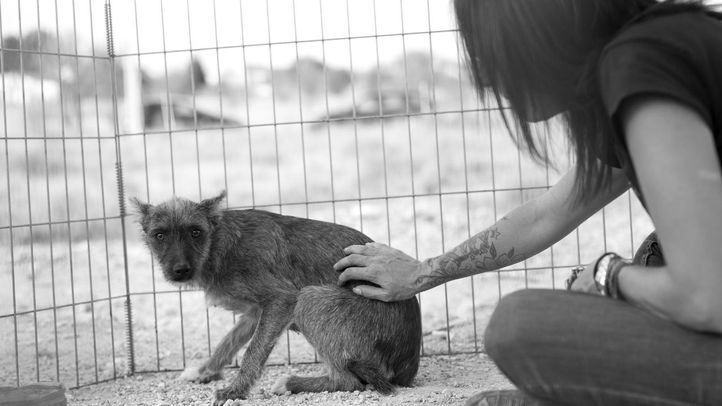 No pasa nada pequeña, ya estás en buenas manos. Katya intenta calmar a Rita. En este momento comienza un duro camino para que Rita recupere la confianza en los seres humanos