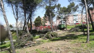 Tala masiva en el Pinar de la Elipa