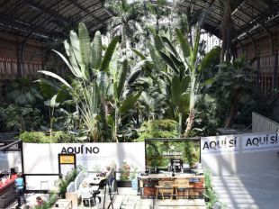 Atocha amanece sin tortugas (y casi sin estanque)