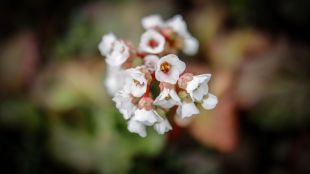 Top 4 de nuevas tendencias en decoración de exteriores