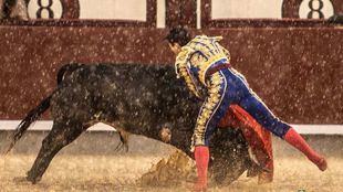 Oreja bajo el diluvio universal para un firme Toñete