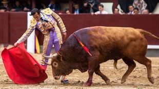 Defraudan la terna de artistas y los bureles de El Ventorrillo