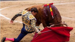 El mejor Juli corta una oreja a un gran toro de Alcurrucén