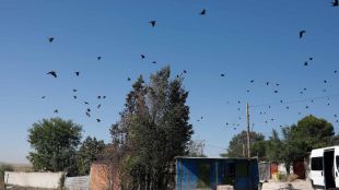 Un corredor verde, ¿futuro del Sector 6 de la Cañada?