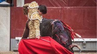 Los toros aburren y los toreros…¡también!