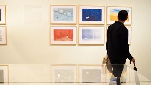 La capacidad de contar historias a través de ilustraciones