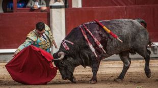 Torerazo Chacón con el único 'saltillo' salvable de una peligrosísima corrida
