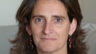 Teresa Ribera, un pilar fundamental del clima como ministra de Medio Ambiente