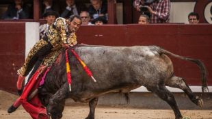 Interesante corrida de José Escolar aprovechada sólo a medias