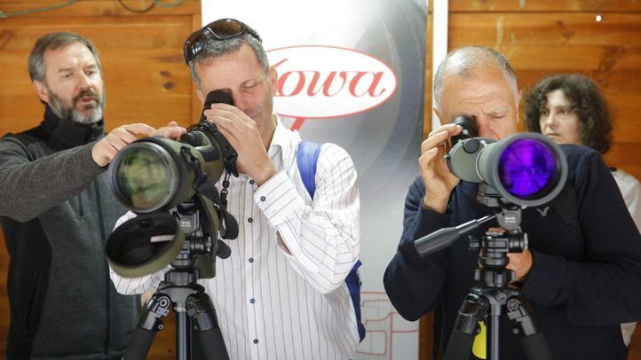 Los pájaros conquistan el Paseo del Prado en MADbird