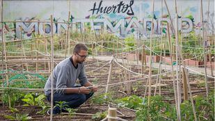 Huertos Montemadrid: cultive un ocio saludable a un paso del centro de Madrid