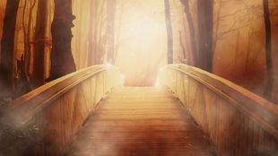 El verdadero sentido de los sueños