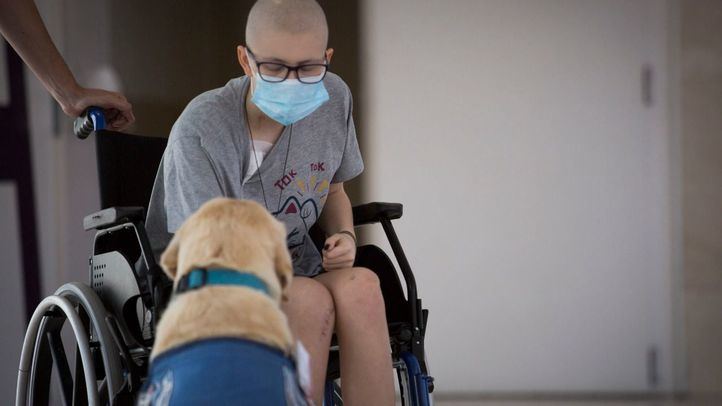 Perros 'terapéuticos' para la lucha contra el cáncer infantil