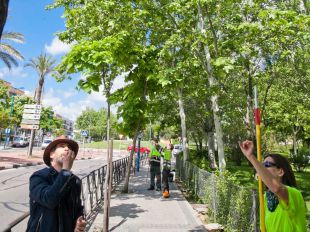 Mariquitas: la alternativa 'ecofriendly' de Leganés contra el pulgón