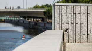 En busca de otro emplazamiento para los remeros