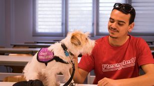 Ladridos que salvan vidas