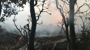 Arden 5.000 metros cuadrados del punto limpio de Valdemorillo