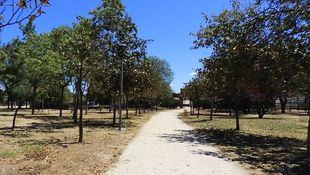 Parque de El Soto de Móstoles.
